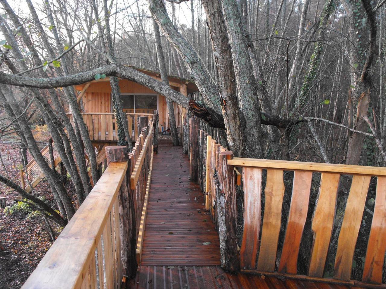 Cabane Des Cerfs Allons  Εξωτερικό φωτογραφία